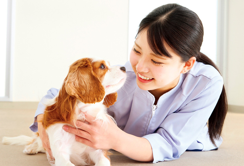大阪ペピイ動物看護専門学校の風景