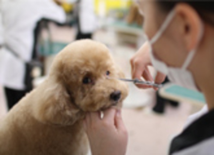 東北愛犬専門学校の特長３