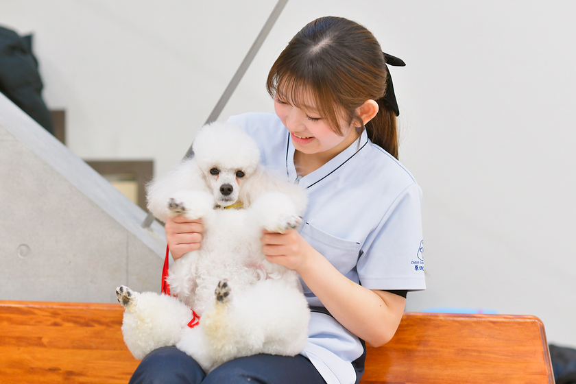 キャンパスライフPhoto