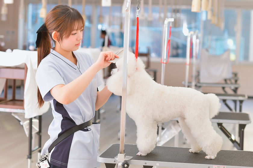 キャンパスライフPhoto