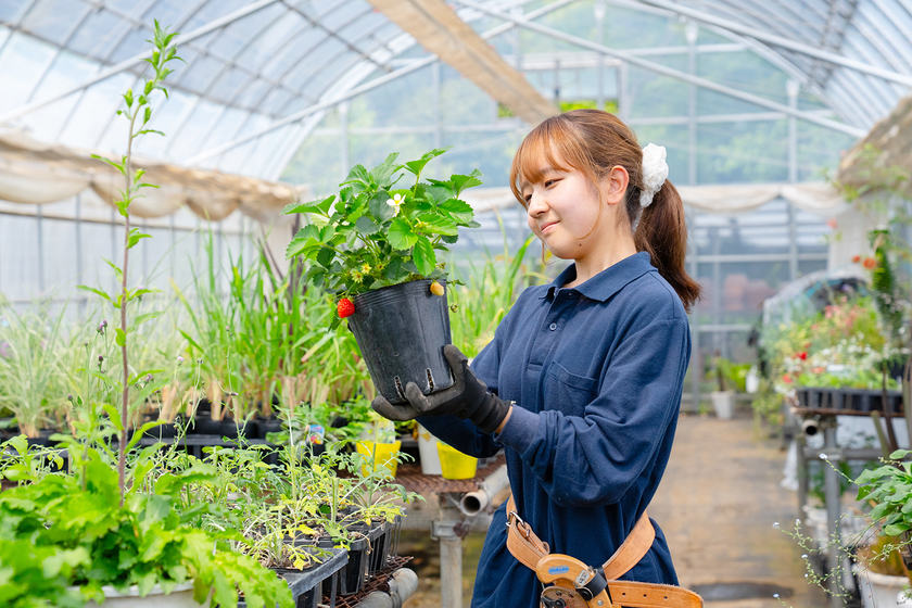 キャンパスライフPhoto