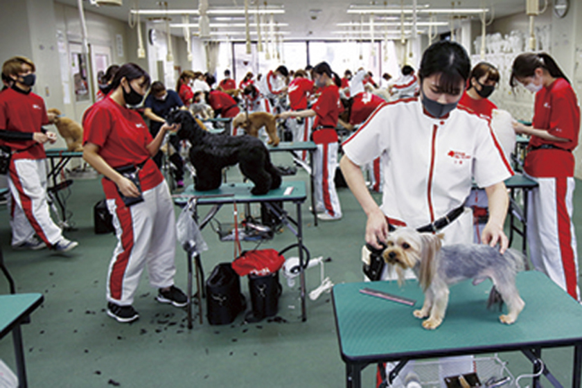 キャンパスライフPhoto