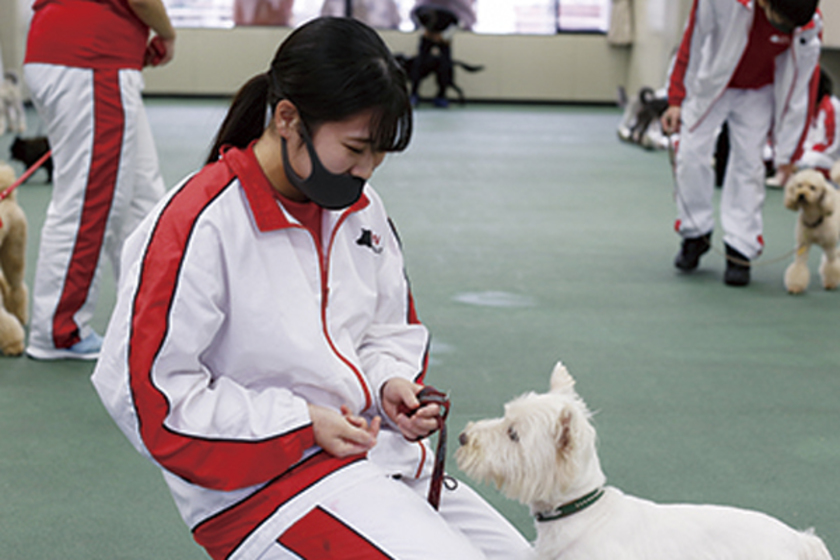 キャンパスライフPhoto