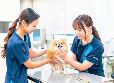 大阪動物専門学校の特長１