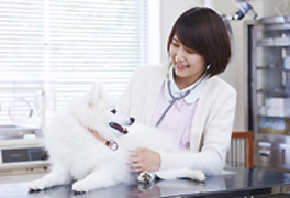 岡山理科大学専門学校