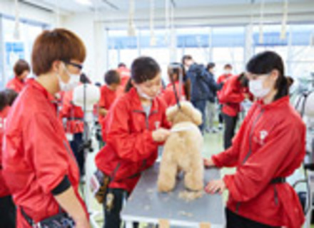岡山理科大学専門学校の特長３