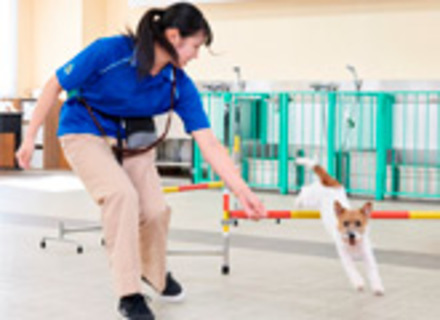 大宮国際動物専門学校の特長２