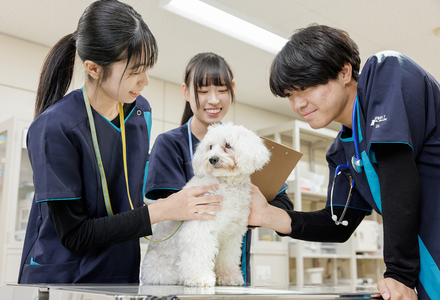 学校イメージ