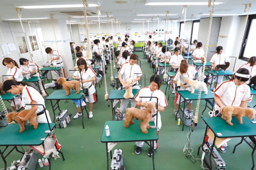 キャンパスライフPhoto