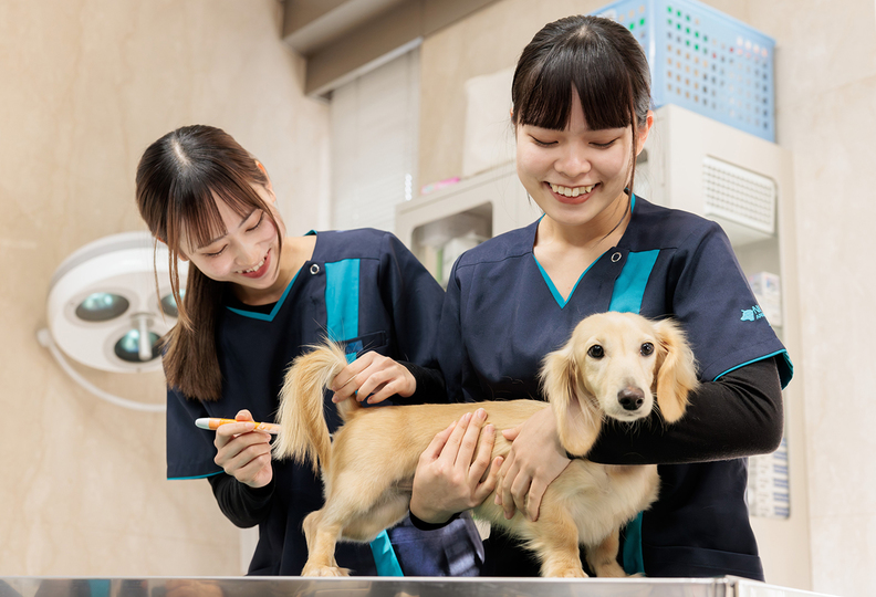 名古屋動物専門学校の風景