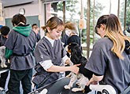 群馬動物専門学校の特長１