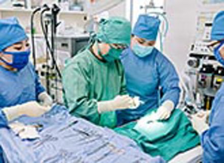 群馬動物専門学校の特長２