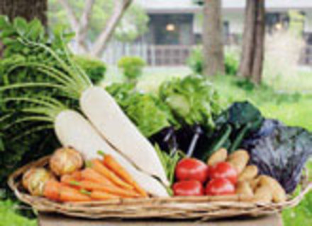 鯉淵学園農業栄養専門学校の特長３