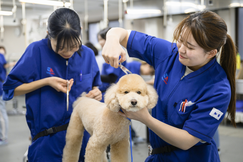 キャンパスライフPhoto