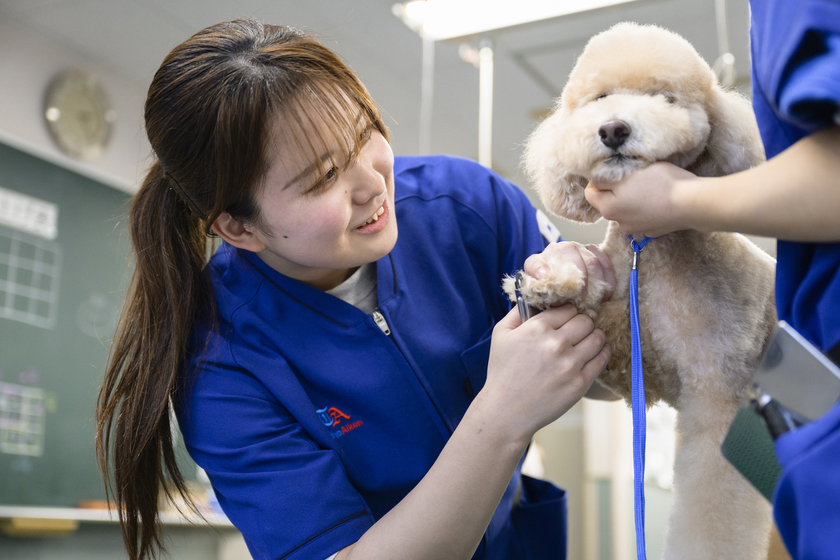 キャンパスライフPhoto