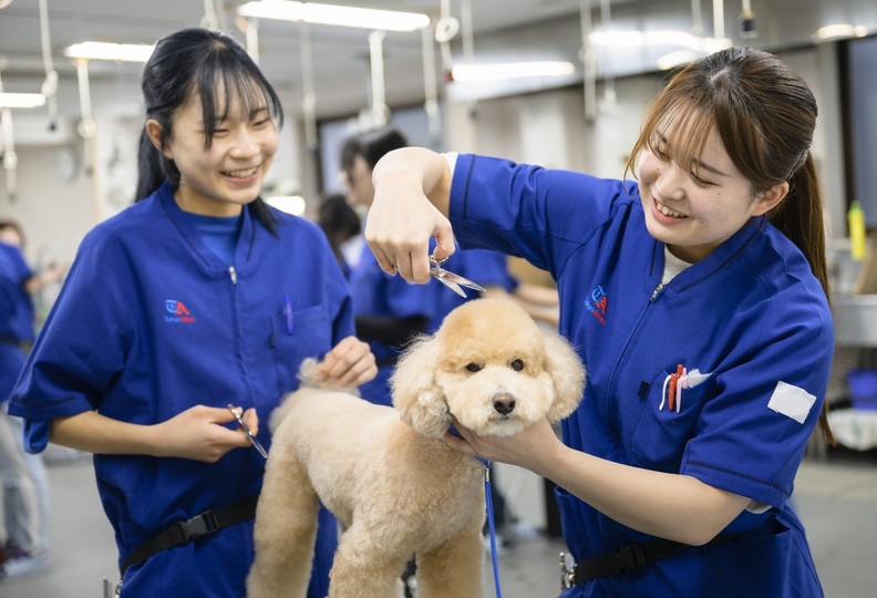 東京愛犬専門学校の風景