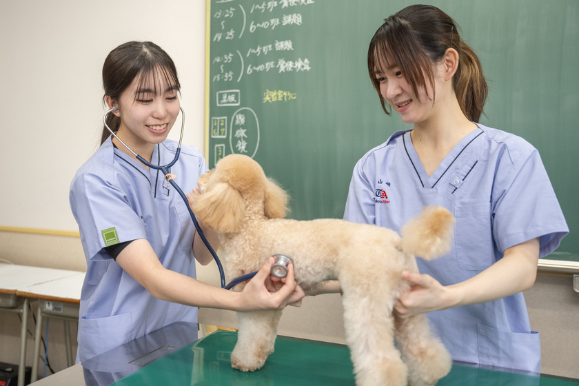 キャンパスライフPhoto