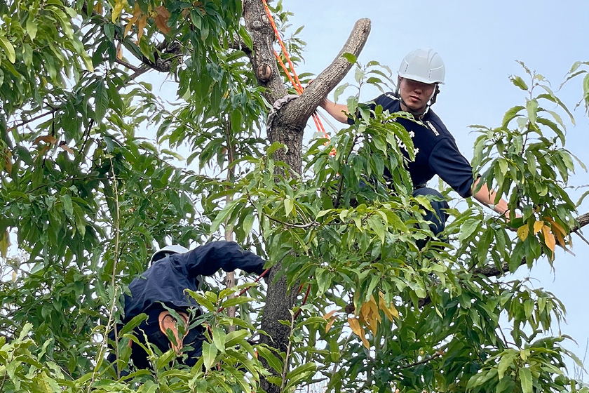 キャンパスライフPhoto