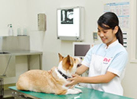 ＫＢＣペットワールド専門学校の特長１