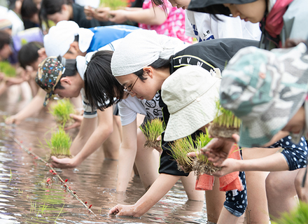 新宿調理師専門学校の特長３