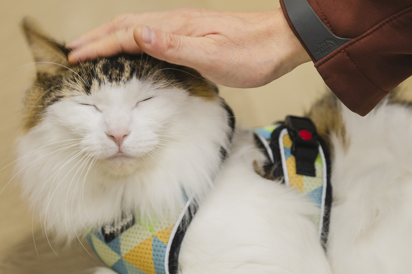 キャンパスライフPhoto