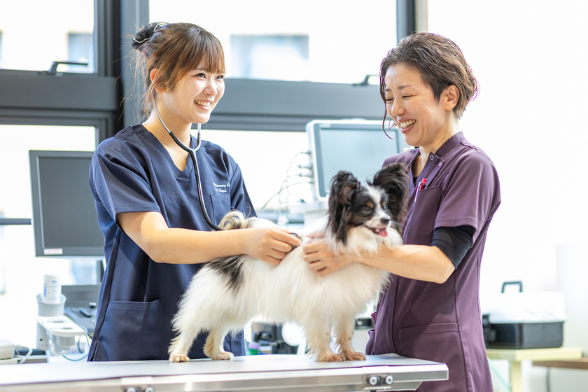 キャンパスライフPhoto