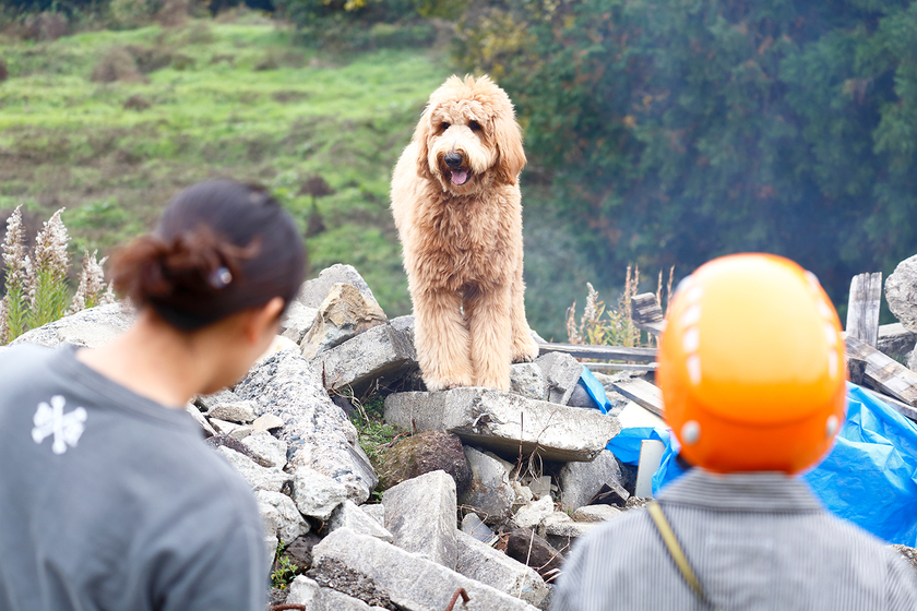キャンパスライフPhoto