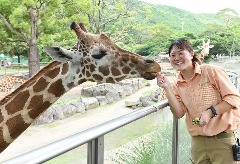 大阪ＥＣＯ動物海洋専門学校の風景