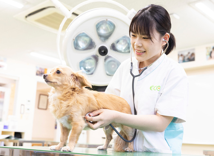 大阪ＥＣＯ動物海洋専門学校の特長１