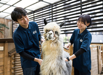 大阪ＥＣＯ動物海洋専門学校の特長２