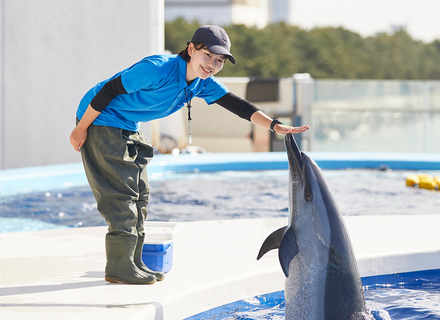 大阪ＥＣＯ動物海洋専門学校の特長３