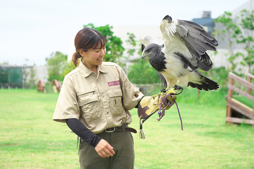大阪ＥＣＯ動物海洋専門学校の卒業生