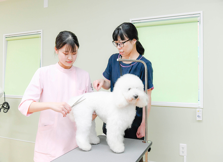 専門学校東北動物看護学院の特長２