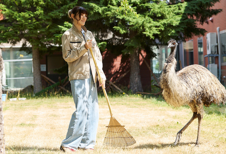 北海道エコ・動物自然専門学校の風景