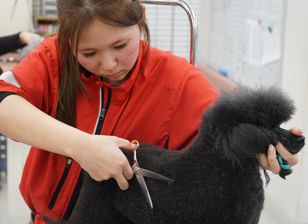 広島情報ビジネス専門学校の特長２
