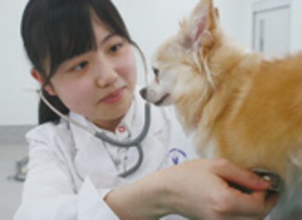 九州動物学院の特長１