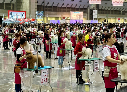 大分ドッググルーミング専門学校の特長２