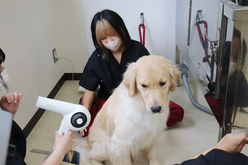 キャンパスライフPhoto