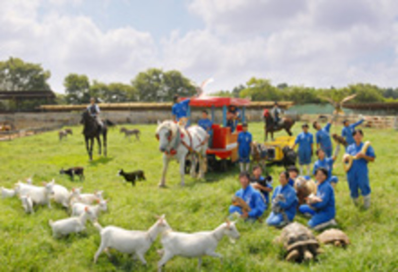 東京動物専門学校の風景