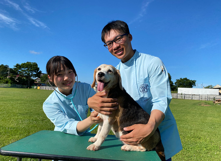 東京動物専門学校の特長１