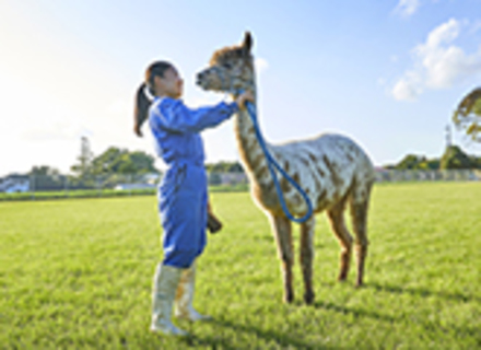 東京動物専門学校の特長３