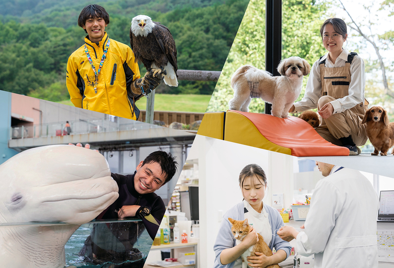 ＴＣＡ東京ＥＣＯ動物海洋専門学校の風景