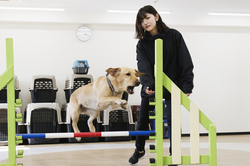 キャンパスライフPhoto