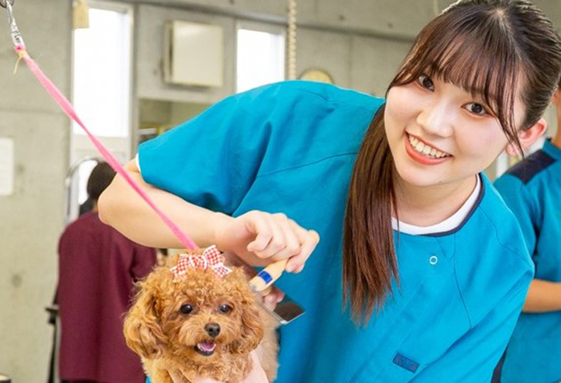 ブレーメン動物専門学校の風景