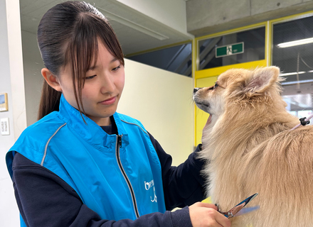 ブレーメン動物専門学校の特長１