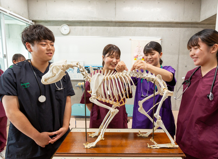 ブレーメン動物専門学校の特長２