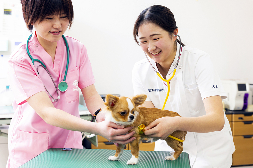 キャンパスライフPhoto