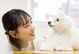 愛犬美容看護専門学校
