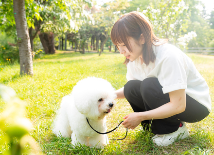 愛犬美容看護専門学校の特長２