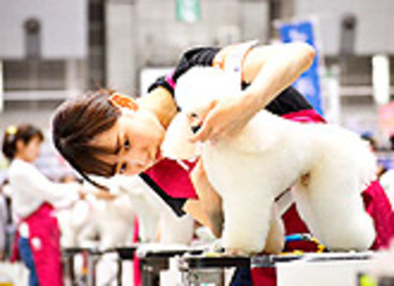 愛犬美容看護専門学校の特長３